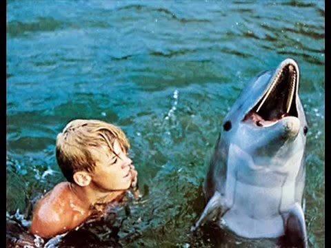 Flipper 1966 Original Titellied in Deutscher Version 256 kbits CD Rip