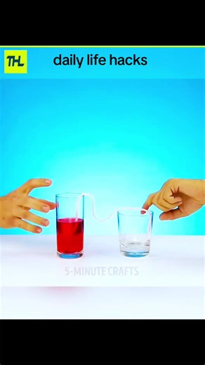 Fun Science Tricks and Daily Life Hacks You Need to Try!