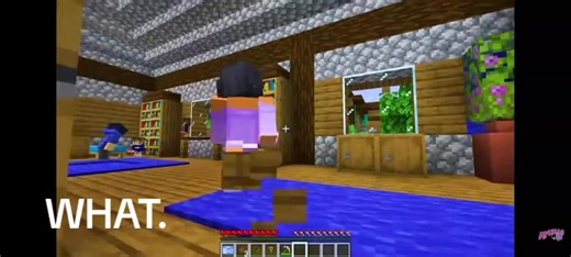Aphmau's Shippin' Moments: Einx Pierce
