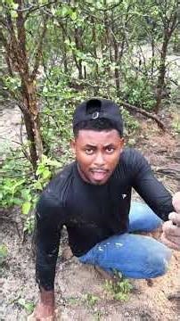 The Best Hunter in the Region? Watch This Triple Catch! 😱👀#wildlife #natureadventure #shorts