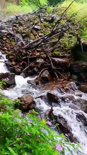 The Most Beautiful Waterfall Views - Very Nice and Calming #nature #shorts #mountains #beautiful