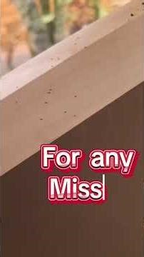 Bird mites are a nightmare. Time to check if you have any and act now to avoid infestation #chicken