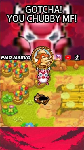 Guildmaster caught Bidoof Eating Up All Perfect Apples 🍎🐹 Pokemon Mystery Dungeon Explorers of Sky