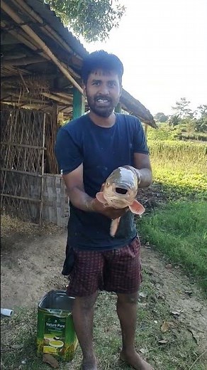 big fish//3.5 Kg weight