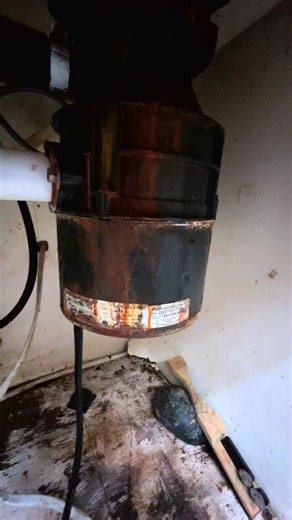 Garbage disposal not working? Humming, leaking, or completely dead? I replace garbage disposals quickly and at a fair price. Call or text Fernando – Experts Handyman Services 813-893-3149 expertshandymanservices@gmail.com #GarbageDisposal #HandymanServices #PlumbingRepair #KitchenRepair #TampaHandyman