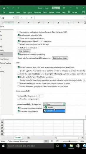 How to lotus cpmpatibility setting for sheet in MS Excel