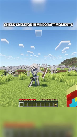 Shield Skeleton Meme in Minecraft Moment 4