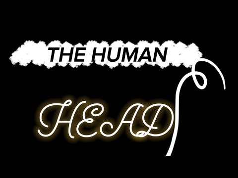 HOW TO DRAW A {female} head