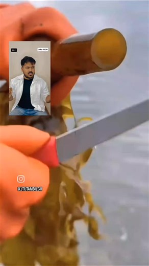 Tas tas on Instagram: "18+ joke series of Day -3/365 #virałreels #standupcomedyshow #standupcomedian #funnyreels #trendingreel"