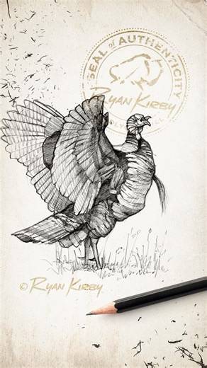 Stay fly out there 🤙🏻 #WildlyOriginal #ArtofHunting #gobbler #wildturkeys #huntcamp #turkey #turkeyhunting #wildturkey #mancaveart #nwtf #turkeycamp #turkeyseason #turkeytour | Ryan Kirby Art