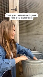 Ditch the artificial, big box chicken feeds filled with GMOs, seed oils, and cheap fillers and give your flock an all natural layer feed with Grubbly Farms Fresh Pecks! Rich in essential nutrients, this all natural layer feed will help support strong eggs and provide your chickens with the nutrition they crave! Your flock deserves the best! ✨ | Grubbly Farms | Facebook