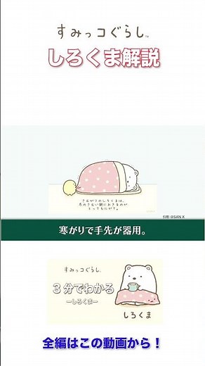 【すぐに推せるすみっコぐらし】しろくまをご紹介！【すみっコぐらし】 #Shorts #すみっコぐらし