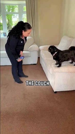 He Hid Inside The Couch