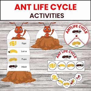 Ant Life Cycle Activities | Life Cycle of an Ant Craft | Homeschool Printable | Foldable Science Craft - Etsy