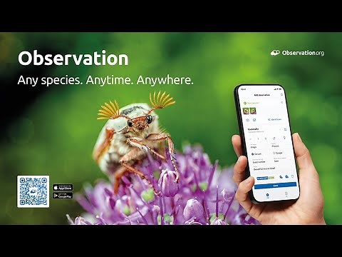 Tutorial app Observation