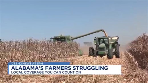 Alabama farmers weather the storm of high costs