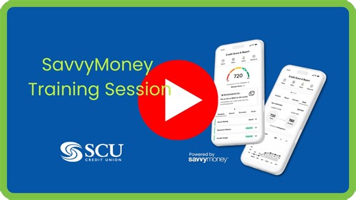 SavvyMoney Overview