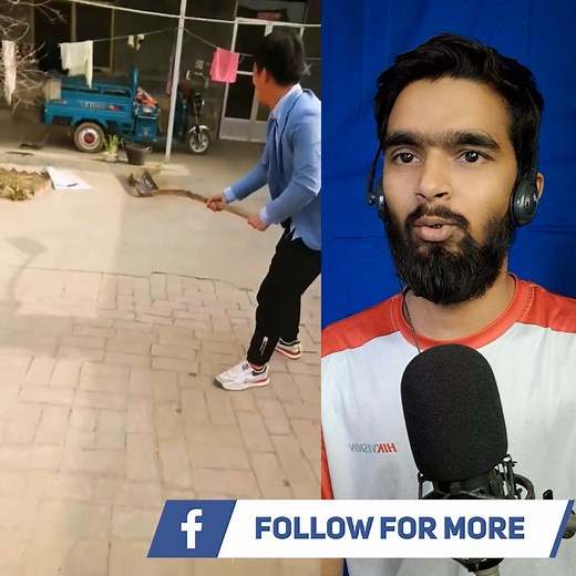 517K views · 1.3K reactions | 100 Ways To Play With Mice #viral #amazing #funny #trending #dddreact | 헗헼혁헗헼헿헗헲헲 | Facebook