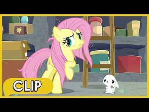 Fluttershy & Angel Realize that their Relationship Needs Help - MLP: Friendship Is Magic [Season 9]