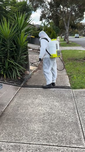 🏠 “Protecting homes across Melbourne with trusted pest control.” #HomeProtectionService #ProfessionalPestControl #SafePestSolutions #PropertyProtection #MelbournePestControl#saynotobugs #AussieSmallBusiness #TrustedTechnician#insectokill #saynotobugs #melbournepestcontrol #saynotobugs #pestfreeliving #cleanliving #QualityServiceAU | Insectokill Pest Control Services