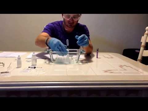 General Chemistry Lab 4 - Properties of Gases