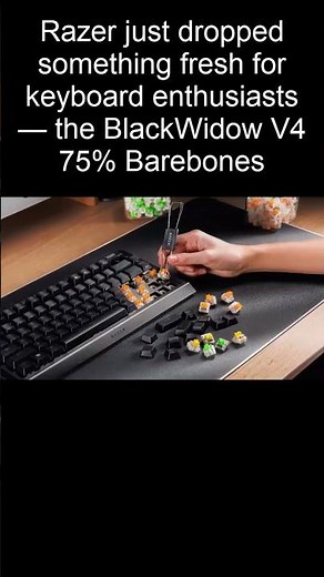 Razer BlackWidow V4 75% Barebones Keyboard Will Change How You Build Your Setup FOREVER!