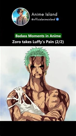 Zoro takes Luffy's Pain (Part 2/2) | Badass Moments in Anime
