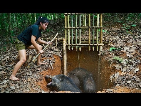 When Wild Boars Bare Their Tusks – A Real Survival Nightmare Part 1