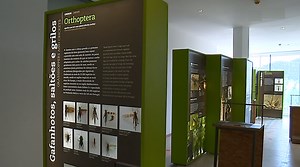 Plataforma Ciência Aberta em Barca D’Alva