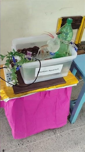 3R'S || Reduce, Reuse, Recycle|| project Ideas for School