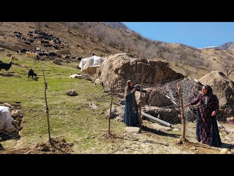 Nomadic life:Building a mountain farm single nomadic girls planting barley and wheat Zagros Mountain