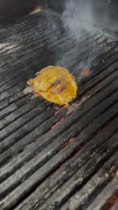 $8 Chicken Quesadilla is today’s special! Join us for one today! ‼️ | Wild Wing Cafe