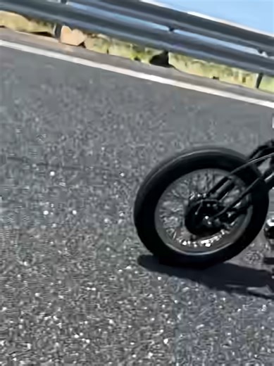 Chopper Style Harley Davidson in Tokyo