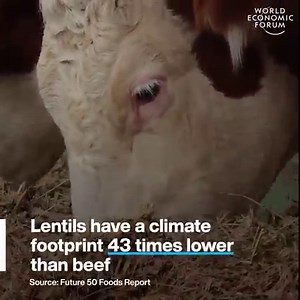 27K views · 913 reactions | By 2050, we’ll have 10 billion mouths to...