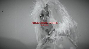 "𝐌𝐈𝐆𝐑𝐀𝐓𝐎𝐑𝐘 𝐖𝐈𝐍𝐆𝐒" THE ARTISANAL COLLECTION 2025 | TRAILER VIDEO by Mr CRAZY & Lady SEXY FULL COLLECTION DROP: https://www.mrcrazy-ladysexy.com/pages/migratory-wings #MrCrazyAndLadySexyGoGlobal #MrCrazyAndLadySexy #MIGRATORYWINGS | Mr Crazy & Lady Sexy