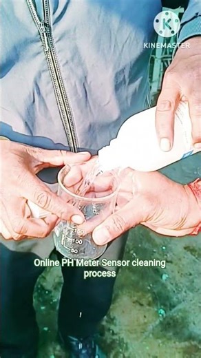 online PH Meter Sensor cleaning process| online PH Meter| #delydays #delydays #onlinepHmeter #STP