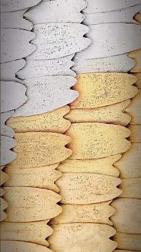 Monarch Butterfly - Zooming Into Wing & Scales to Atomic Level #monarchbutterfly #microscopy