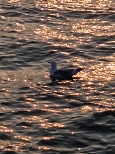 Georgia - Wrap Me Up in All Your Love