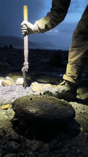 Smashing rocks 🪨 finding calcite crystal ammonites 🌀 what a backdrop 🌊 #minerals #fossilfind #fossilhunting #ammonite #fossilhunt