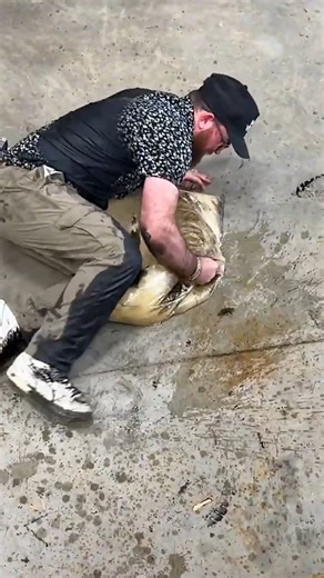 I'm Doing It Myself, and I Charge A Lot #reels #bulldozer #maintenance #service #expensive #automotive | Whistlindiesel