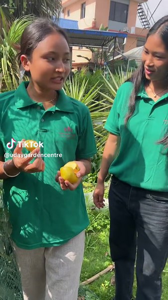 Exploring Fruits in a Lush Garden Setting