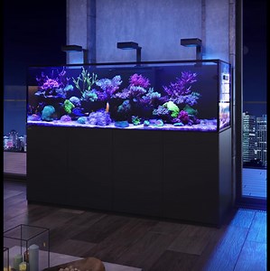 2.3K reactions · 181 shares | Say hello to the REEFER-S. This new,...