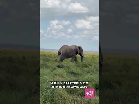 What We Can Learn from The Elephant and the Blind Men