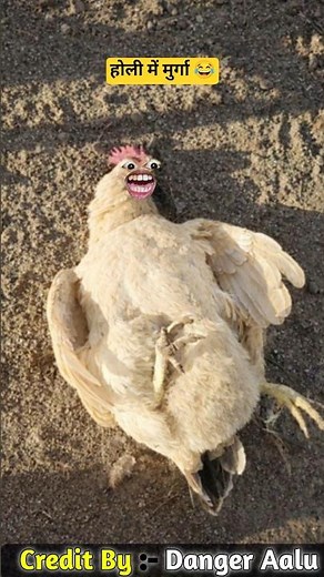 होली में नशेड़ी मुर्गा 🐔 #funny ‪@thethar_puns‬ ‪@AaluPyajJoke‬ #comedy
