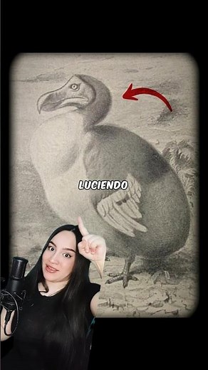The Dodo Didn't Live During the Ice Age 😱