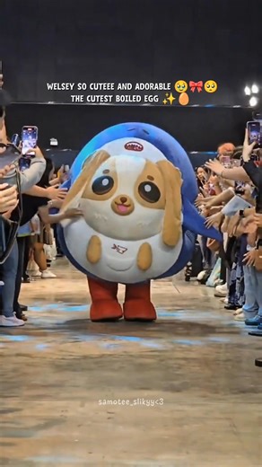 cutest🤏🏻🥹 #wesley #westies #williamjkp #est_rvp #williamest #estwilliam #gmmtv