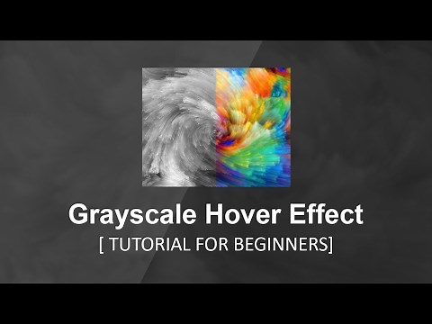 Grayscale Hover Effect - Tutorial For Beginners