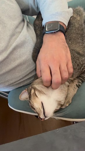 My work buddy | Bassem Youssef