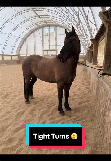 I really trust her not to run me over 🤣 #fyp | other direction