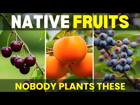 The Fruit Trees Every Gardener Gets Wrong (Plant These Instead)